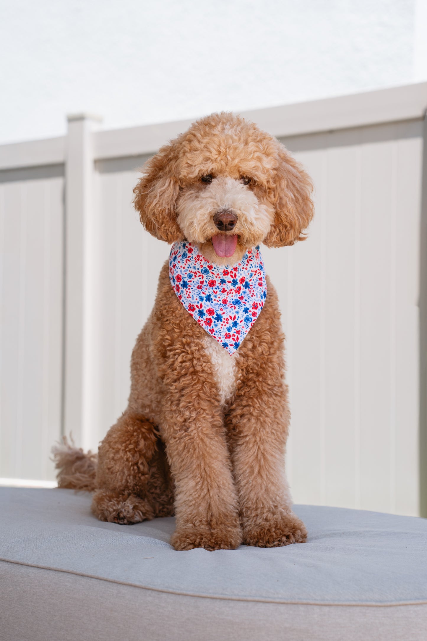 USA Sweetheart