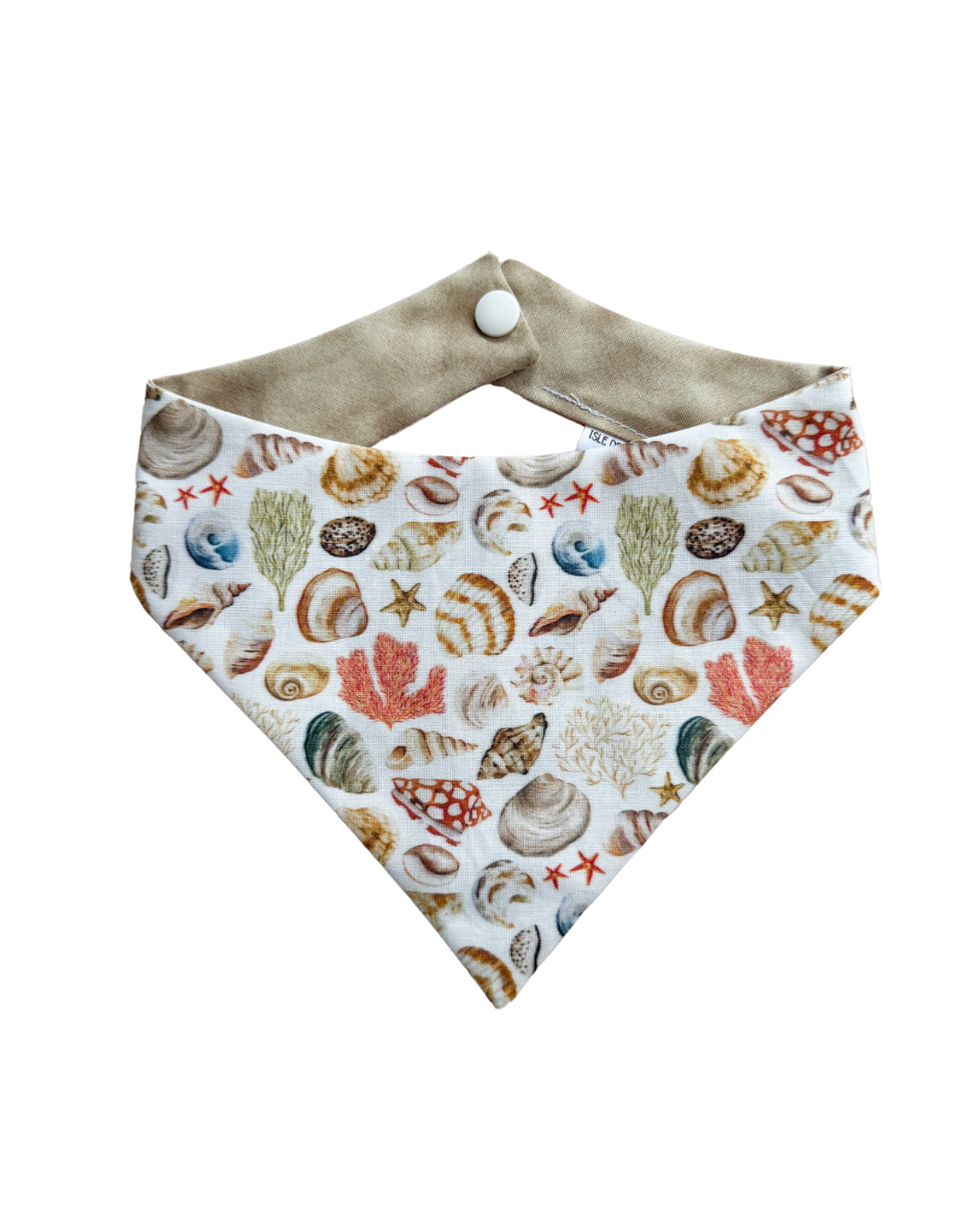 Shorem Seashells