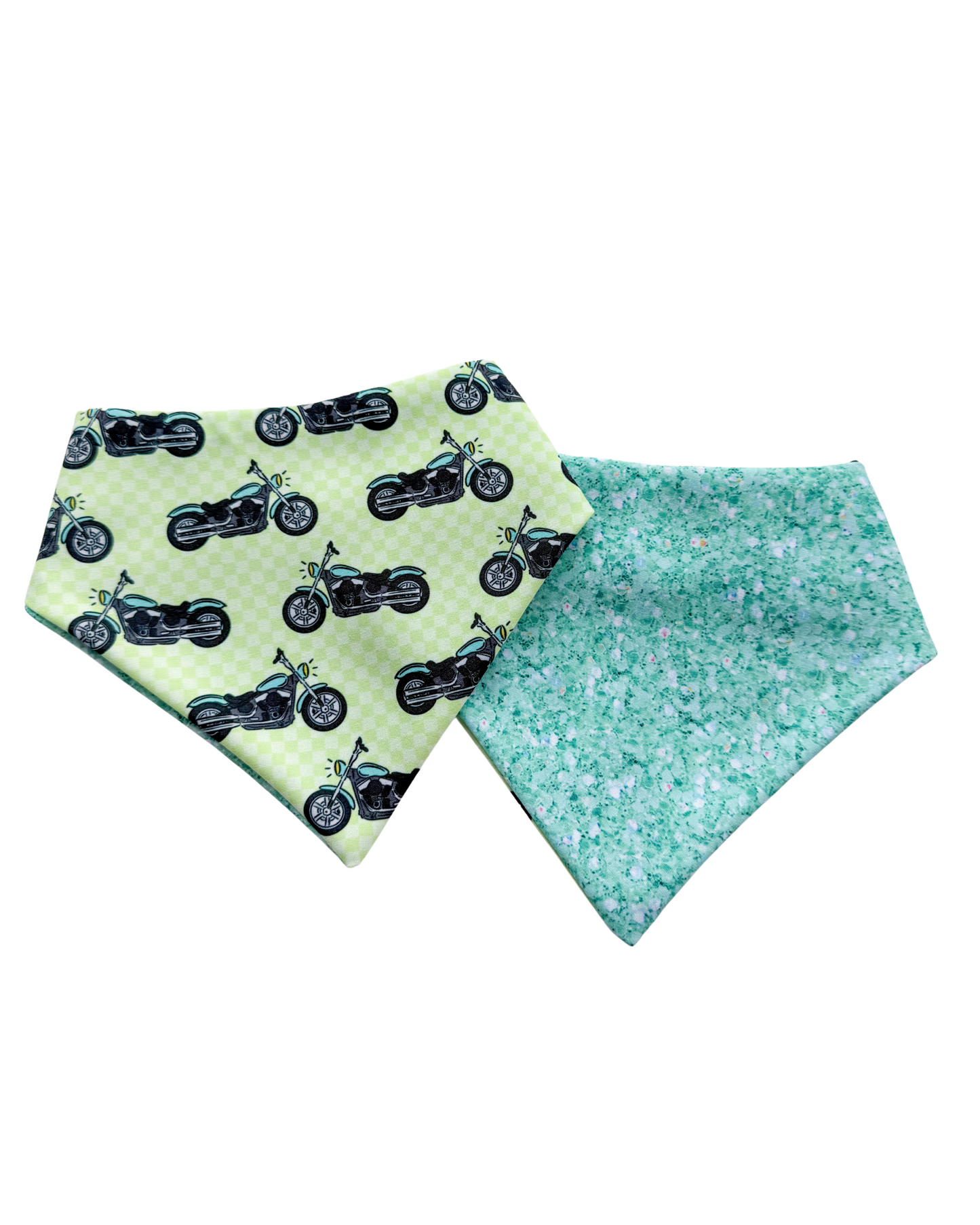 Latte’s Riding Into 2! CEO Birthday Bandana - GREEN