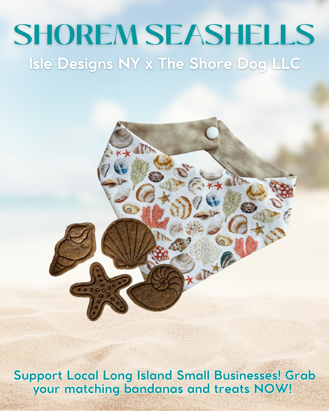 Shorem Seashells