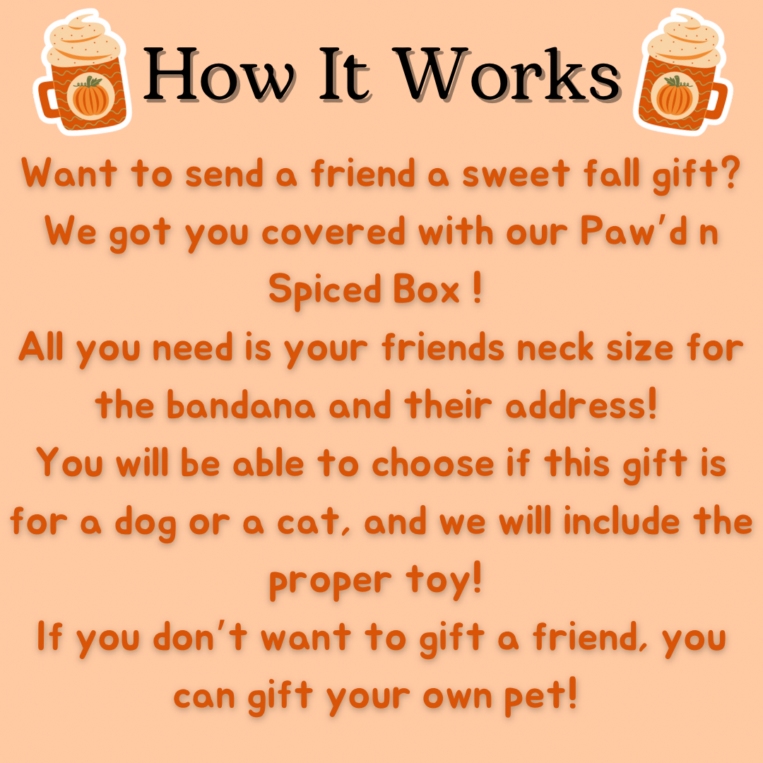 Paw’d n Spiced Box