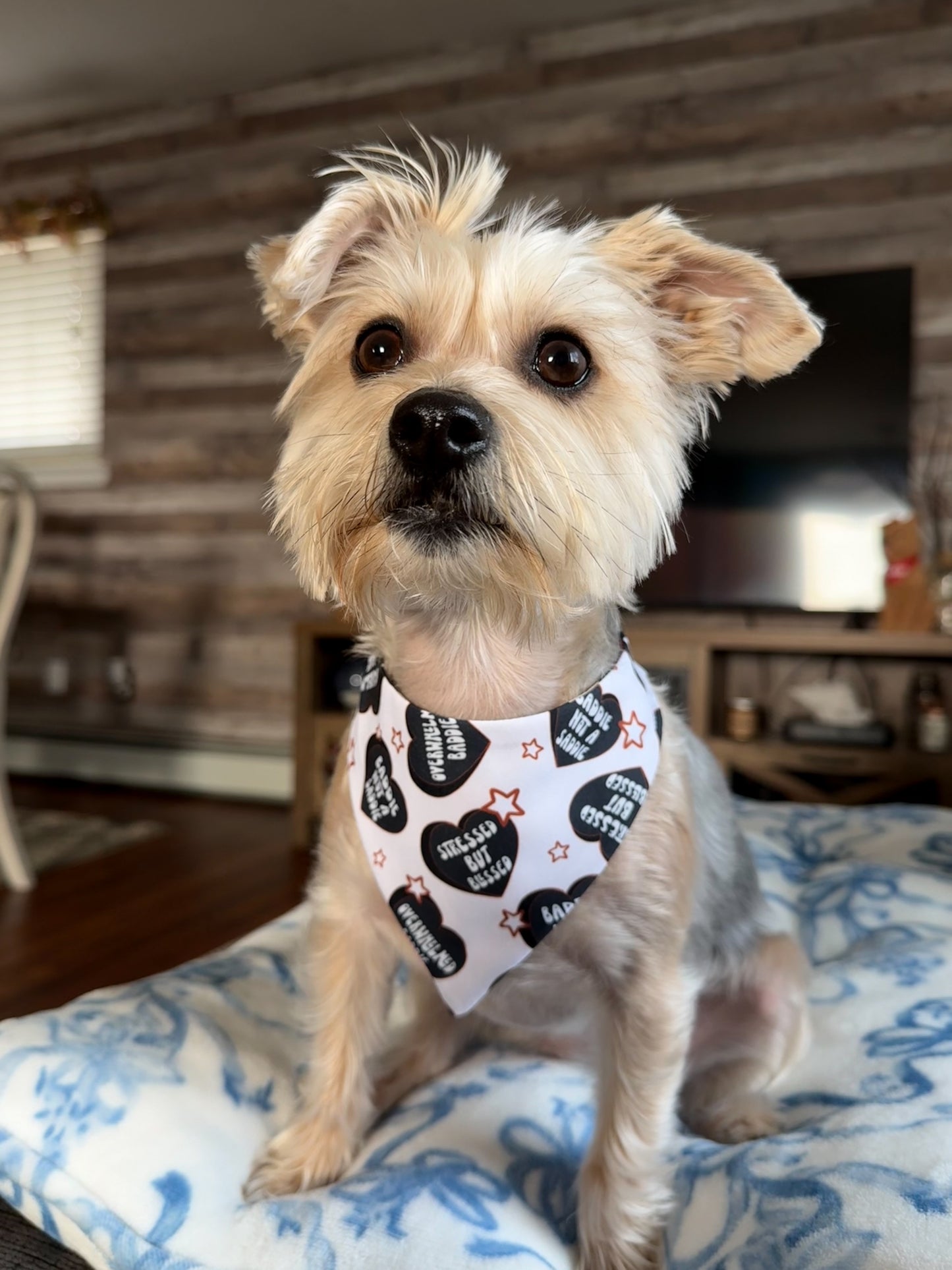 Even Baddies Get Saddies