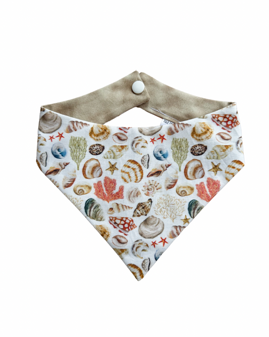 Shorem Seashells
